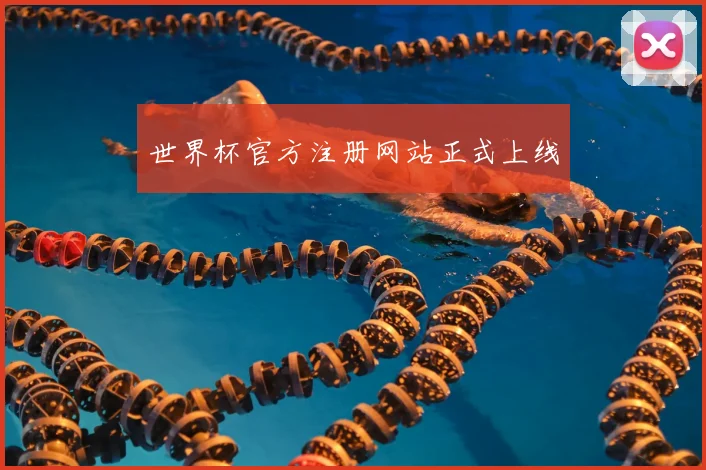 世界杯官方注册网站正式上线