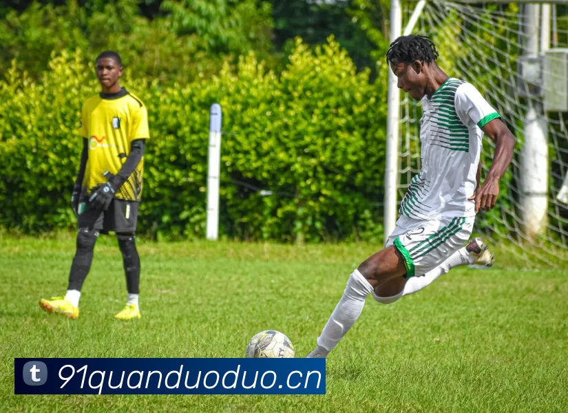 App Interface Preview